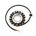 Electrosport Esg221 Stator Suzuki Gsx-r750 