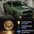 G-plus Fog Lights Compatible With Dodge Nitro 2005-2008 Compatible Challenger 2008-2010 Charger 2006-2009 Smoke Lens 2pcs Set