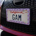 Ice Cream Pattern With Rainbow Hearts License Plate Tag Frame