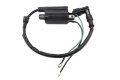 Ignition Coil Module For Kawasaki Mule 2510 Kaf950a Kaf620b 3000 Kaf620g 3010 Kaf950b 3020 4000 Kaf620p 4010 Kaf950f Kaf620c
