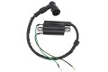 Ignition Coil Module For Kawasaki Mule 2510 Kaf950a Kaf620b 3000 Kaf620g 3010 Kaf950b 3020 4000 Kaf620p 4010 Kaf950f Kaf620c