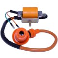 High Performance Ignition Coil For 4 Stroke Engines Mopeds Quads Taotao Sunl 