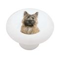 Cairn Terrier Dog Portrait Decorative High Gloss Ceramic Drawer Knob 