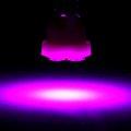 Ocpty 100pack Purple T10 194 Led Light Bulb Super Bright Instrument Panel Gauge Cluster Dashboard Bulbs