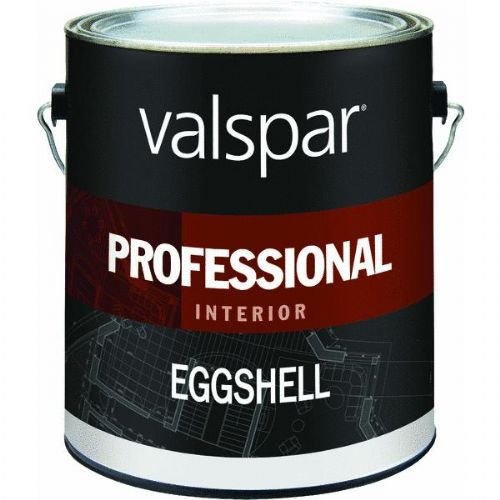 Professional Eggshell Interior Latex Paint