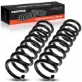 A-premium 2pcs Rear Suspension Coil Spring Set Compatible With Mercedes-benz W211 E280 2007-2008 E320 E350 E500 2002-2008