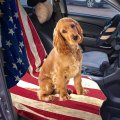 Waterproof Car Seat Cover Towel 2 Pack Universal Fit For Trucks Suv Anti Slip Cotton Bucket Protector Athletes Pets Gym