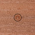 Headcote Cap-tor Xd- 82 Mahogany 10 X 2-3 4 Stainless Steel Composite Deck Screws 350 Fasteners For 100 Sq Ft Of Decking 