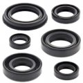 Northern Parts Hub Sealing Gaskets Fits Xr 250 R 96-04 Xr250r 1996-2004 822220 Rebuild Set Repair Gasket Overhaul Kit 
