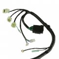 Caltric Wiring Harness Compatible With Honda Sportrax 400 Trx400ex 2x4 2008