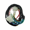 Xljoy Wiring Loom For 190cc Daytona 4-valve Anima 190flx Engine With Light System