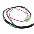 Xljoy Wiring Loom For 190cc Daytona 4-valve Anima 190flx Engine With Light System