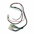Xljoy Wiring Loom For 190cc Daytona 4-valve Anima 190flx Engine With Light System