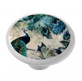 Gotham Decor Abstract Peacock High Gloss Ceramic Drawer Knob 