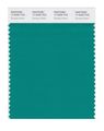 Pantone Smart 17-5330x Color Swatch Card Dynasty Green 