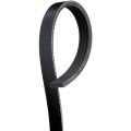 V Ribbed Serpentine Belt For Porsche Panamera 2023 Black 43 84 In Effective Length 44 375 Outside Circumference Alx Pau Ac 