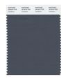 Pantone 19-4215 Tcx Smart Color Swatch Card Turbulence 