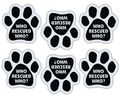 Mini Paw Magnets Set Of 6 Who Rescued Rescue Dog Or Cat Decorate Your Car Refrigerator And More 