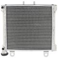 2 Row Aluminum Radiator With Cap For Can Am Ds650 Baja And Ds650x 2001 To 2007 Replacement 7092000145 