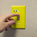 Looney Tunes Tweety Face Plastic Wall Decor Toggle Light Switch Plate Cover 