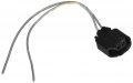 Motorcraft Wiring 