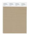 Pantone Smart 16-1010x Color Swatch Card Incense 