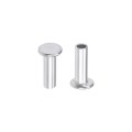 100 Pcs 3mm X 9mm Aluminum Flat Head Semi-tubular Rivets Silver Tone 