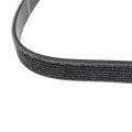 Secosautoparts 11720-ey00b Serpentine Drive Belt Compatible With Nissan 370z 2009-2020 Infiniti Q50 Qx50 Ex37 Fx37
