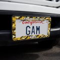 Northern Kentucky Norse Camo License Plate Tag Frame