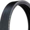 V Ribbed Serpentine Belt For Honda Accord 1998 2002 Black 43 84 In Effective Length 44 375 Outside Circumference Alx Pau Ac 