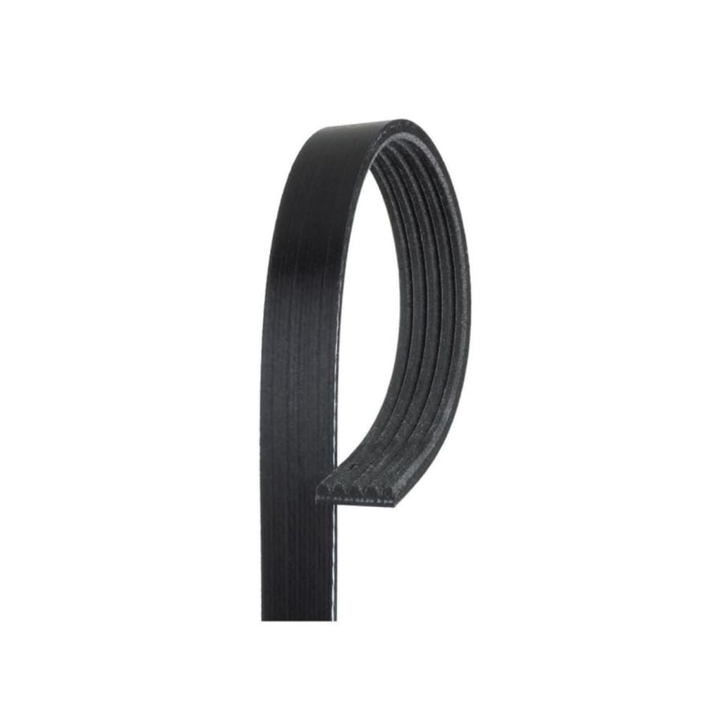 Standard V Ribbed Serpentine Belt For Chevy Orlando 2012 Black 5 Ribs 0 667 In Top Width 1033 Mm Effective Length