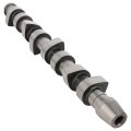 Engine Camshaft Kit For 2000-2004 Vw Golf Jetta Beetle 1 9l Diesel Sohc Turbocharged Replace 067 54005 280 038 109 101 K Lot 