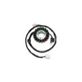 Electrosport Stator For 03-08 Suzuki Ltz400 