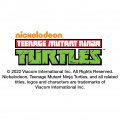 Graphics More Teenage Mutant Ninja Turtles Leonardo Novelty Metal Vanity Tag License Plate