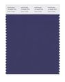 Pantone Smart 19-3935x Color Swatch Card Deep Cobalt 