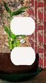 Asian Bamboo Decorative Outlet Cover 
