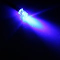 Iivverr 10pcs 5mm Straw Hat Wired Blue Led Light Lamp Emitting Diode Dc 12v 10 Unids Sombrero De Paja Con Cable Azul La Mpara