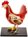 4d Master Vision Chicken Skeleton Anatomy Model Kit One Color