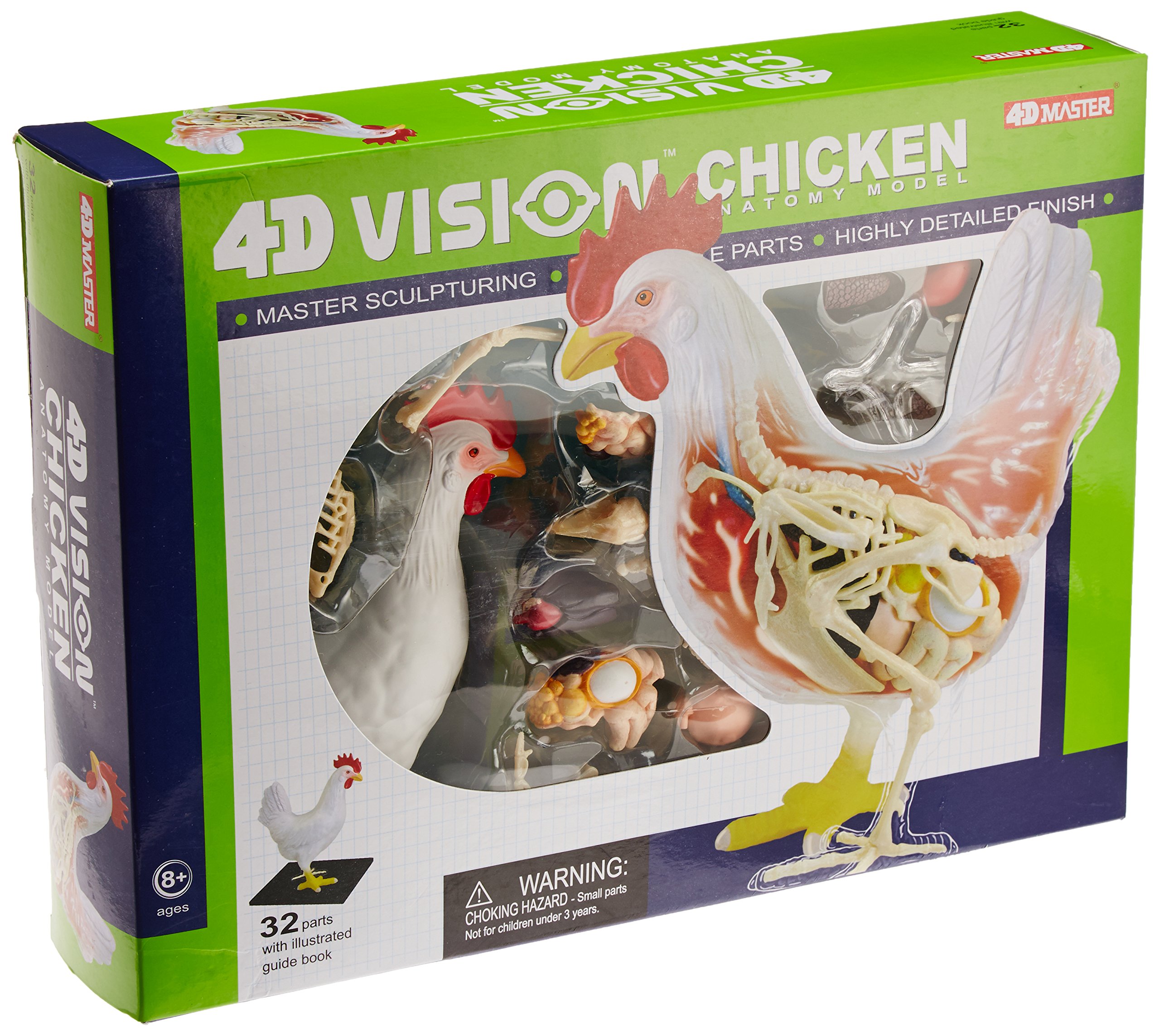 4d Master Vision Chicken Skeleton Anatomy Model Kit One Color