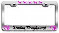 Italian Greyhound Dogs Pets Chrome Metal License Plate Frame Tag Holder B33 