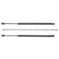 Lift Supports Shock Struts Gas Spring Damper Replacement For 2003-2007 Ford Focus Hatchback Tailgate 6502 2-pc Set