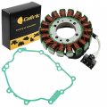 Caltric Stator And Gasket Compatible With Yamaha R6s Yzfr6s 50th Anniversary 2006 Magneto 