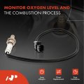 O2 Oxygen Sensor For Honda Accord Crosstour Odyssey Pilot Ridgeline Acura Mdx Rdx Rl Tl Tsx Zdx 3 2l 5l 7l Downstream Replace