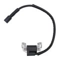 Jdllong 594626 594456 Ignition Module Coil For Briggs And Stratton 595304 799650 795315 592841 595038 Engine Armature Magneto