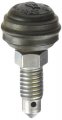 Motorcraft Screw 