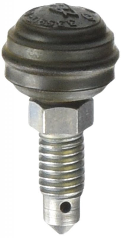 Motorcraft Screw