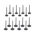 Intake Exhaust Valves Kit For Hyundai Santa Fe 013-2016 Sonata006-2016 Kia Forte Optima 2 0l 2 2l