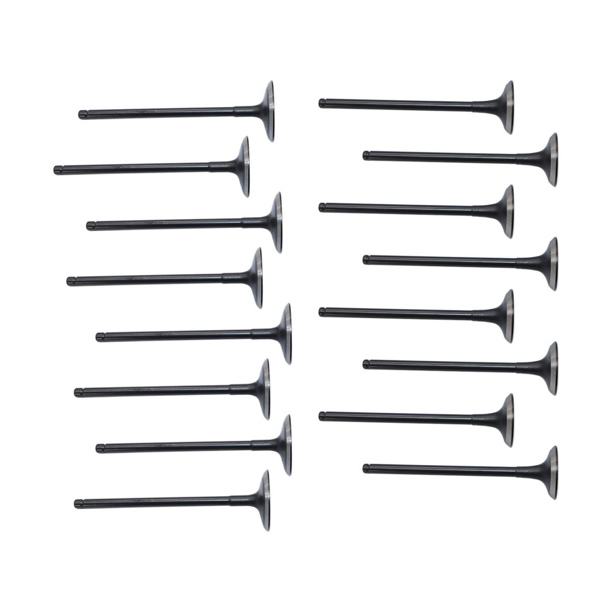 Intake Exhaust Valves Kit For Hyundai Santa Fe 013-2016 Sonata006-2016 Kia Forte Optima 2 0l 2 2l