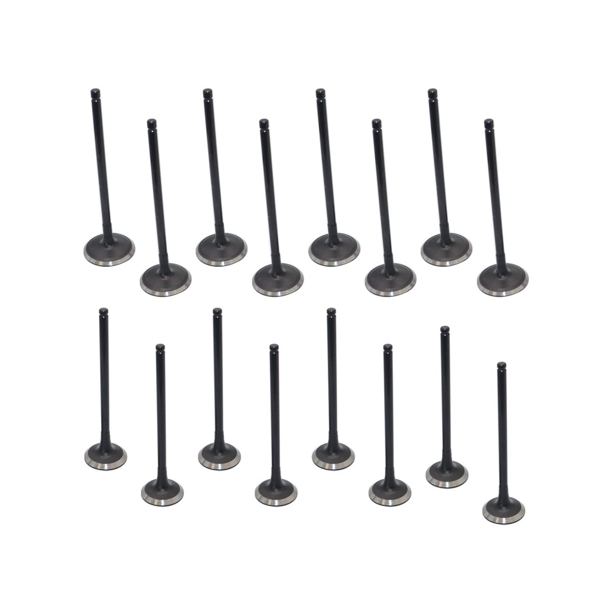 Intake Exhaust Valves Kit For Hyundai Santa Fe 013-2016 Sonata006-2016 Kia Forte Optima 2 0l 2 2l