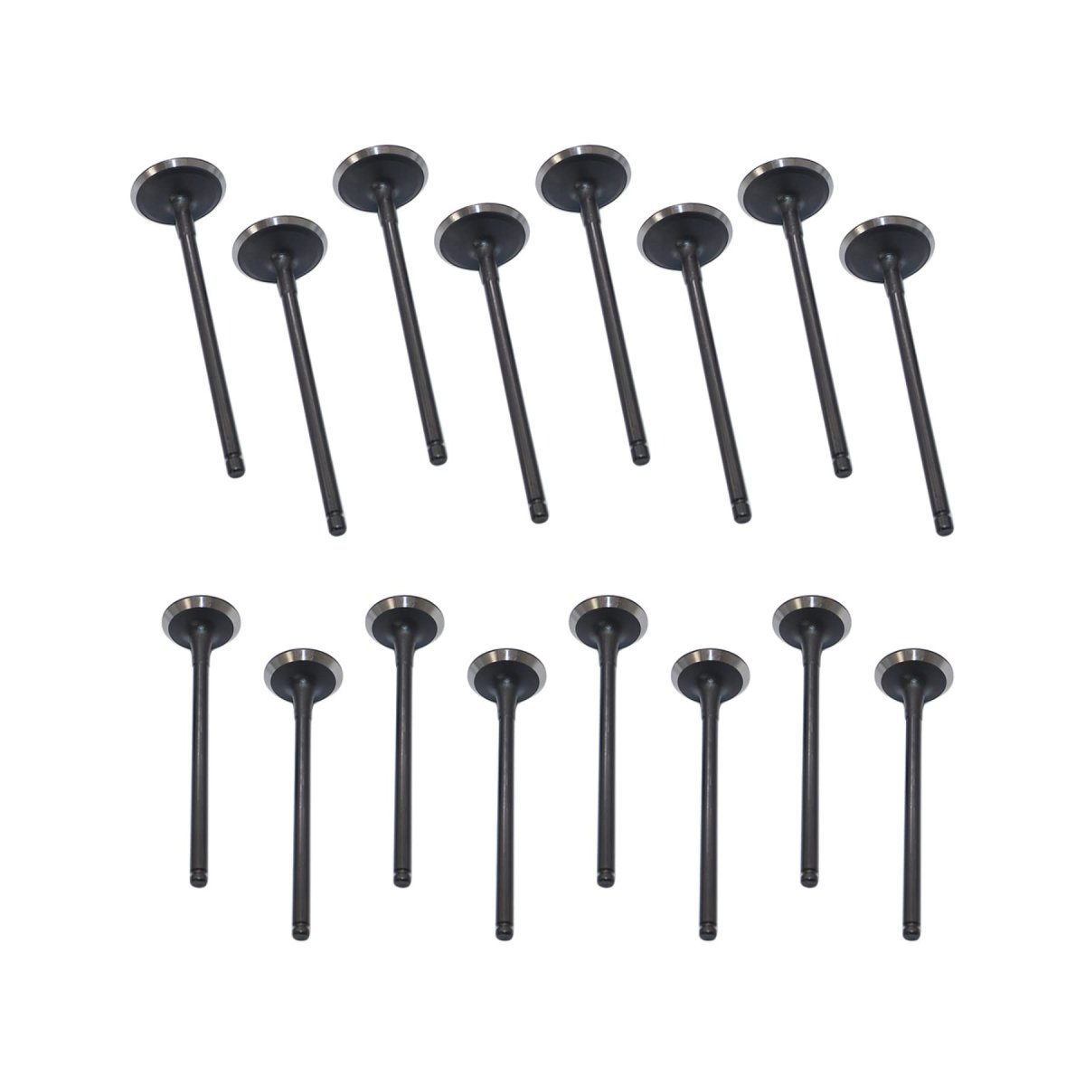 Intake Exhaust Valves Kit For Hyundai Santa Fe 013-2016 Sonata006-2016 Kia Forte Optima 2 0l 2 2l